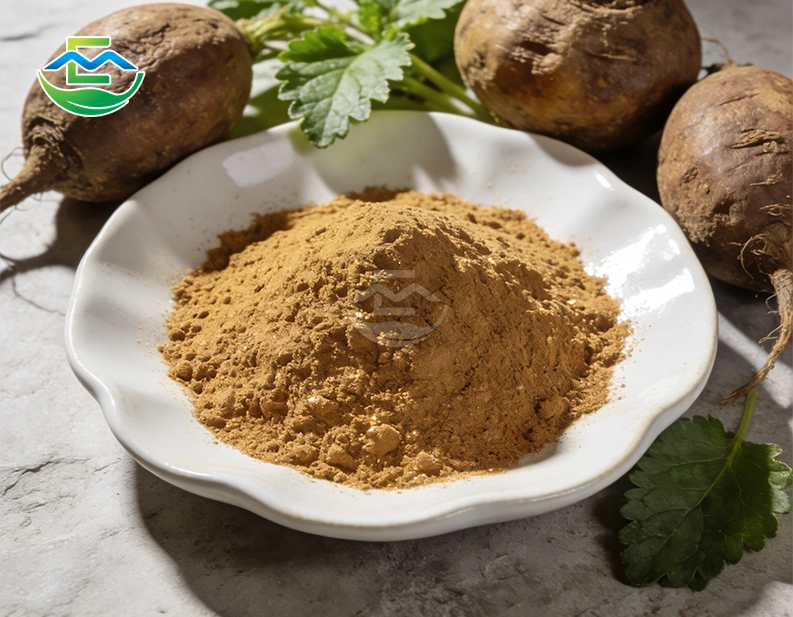 Maca Extract powder